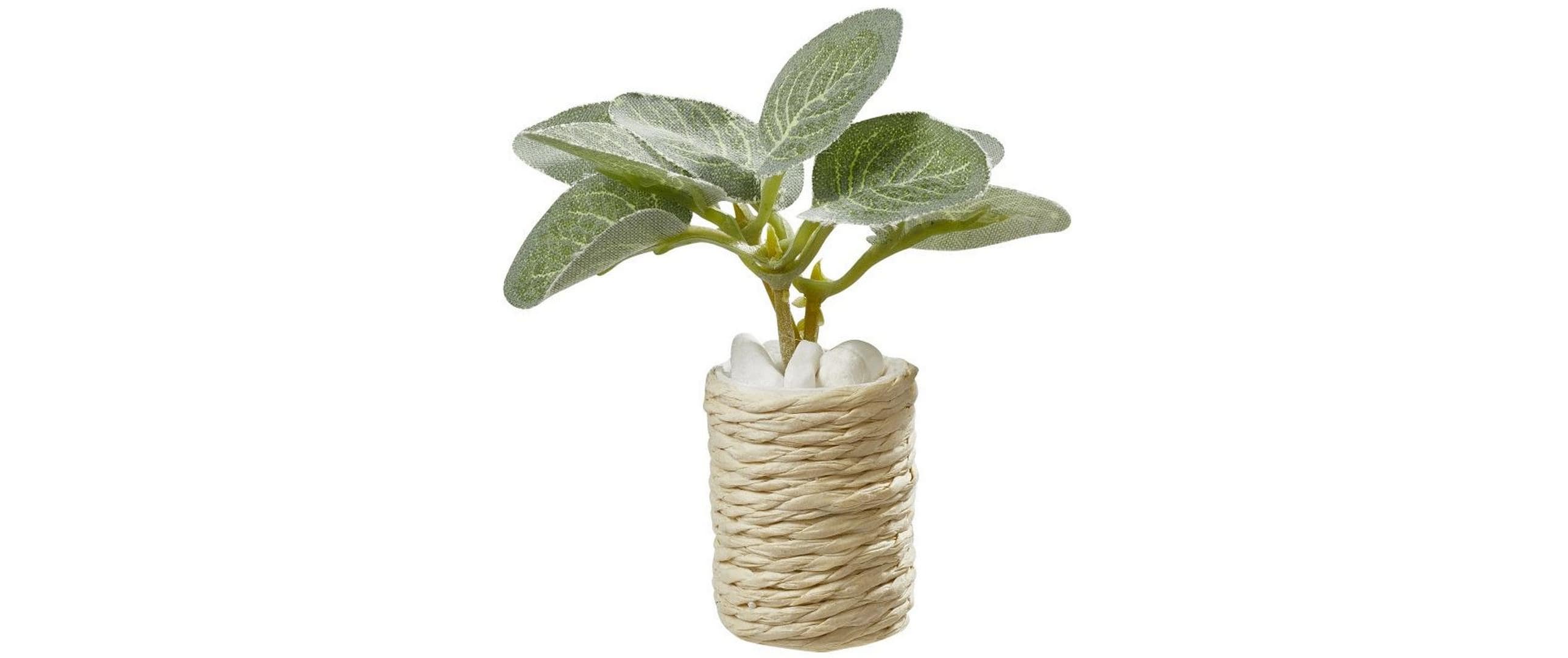 Hobbyfun Mini-Figur Zimmerpflanze