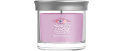 Yankee Candle  Summit Stargazing