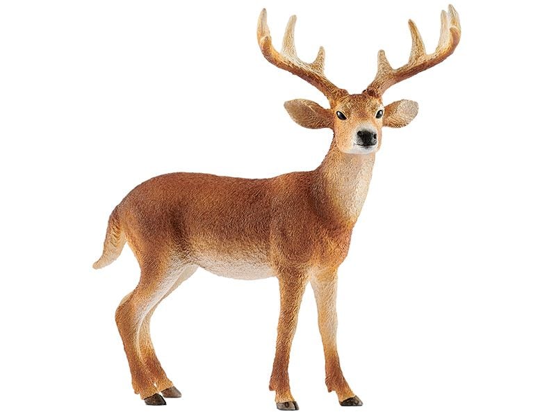Schleich | Weisswedelhirsch | Wild Life