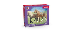 Horse Club Paso Peruano Starter-Set