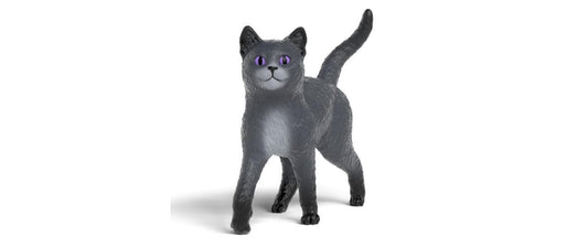 Kater