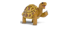 Henrietta die Schildkröte