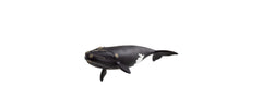 Schleich | Nordatlantischer Glattwal | Wild Life