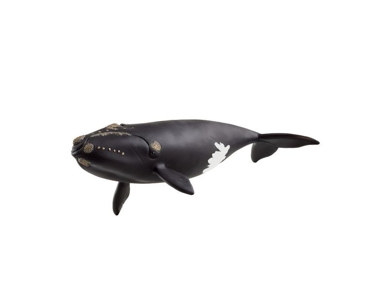 Schleich | Nordatlantischer Glattwal | Wild Life