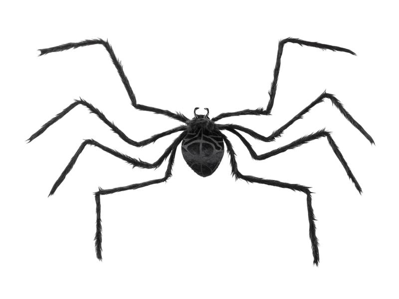 Partydeco | Spinne | 103 x 75 x 9 cmPE, PP, Filz, Pol, Eisen