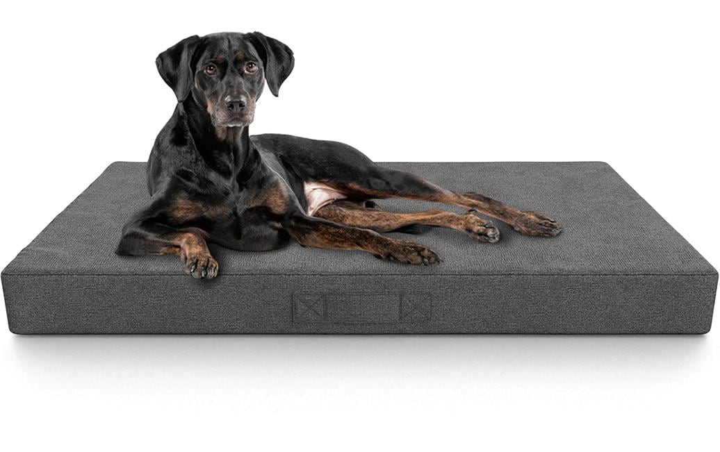 Knuffelwuff, Orthopädische inkontinenz Hund
