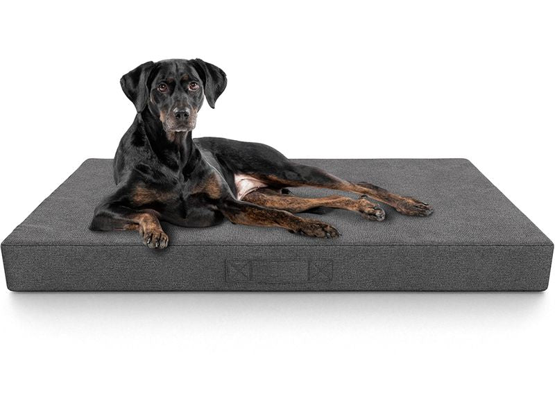 Knuffelwuff | Orthopädische inkontinenz | Hundematte Lenie XXL, Grau