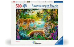 Tiger Family in the Oasis 500p