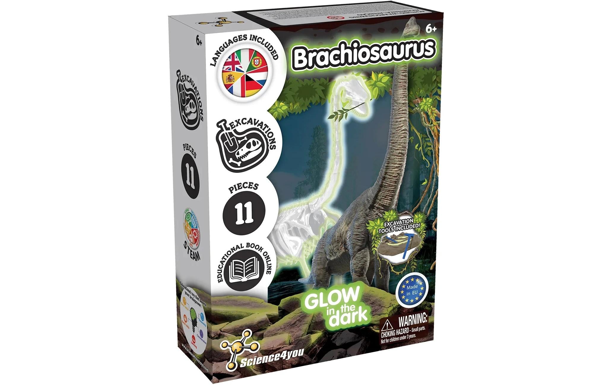 Excav Brachiossaurus