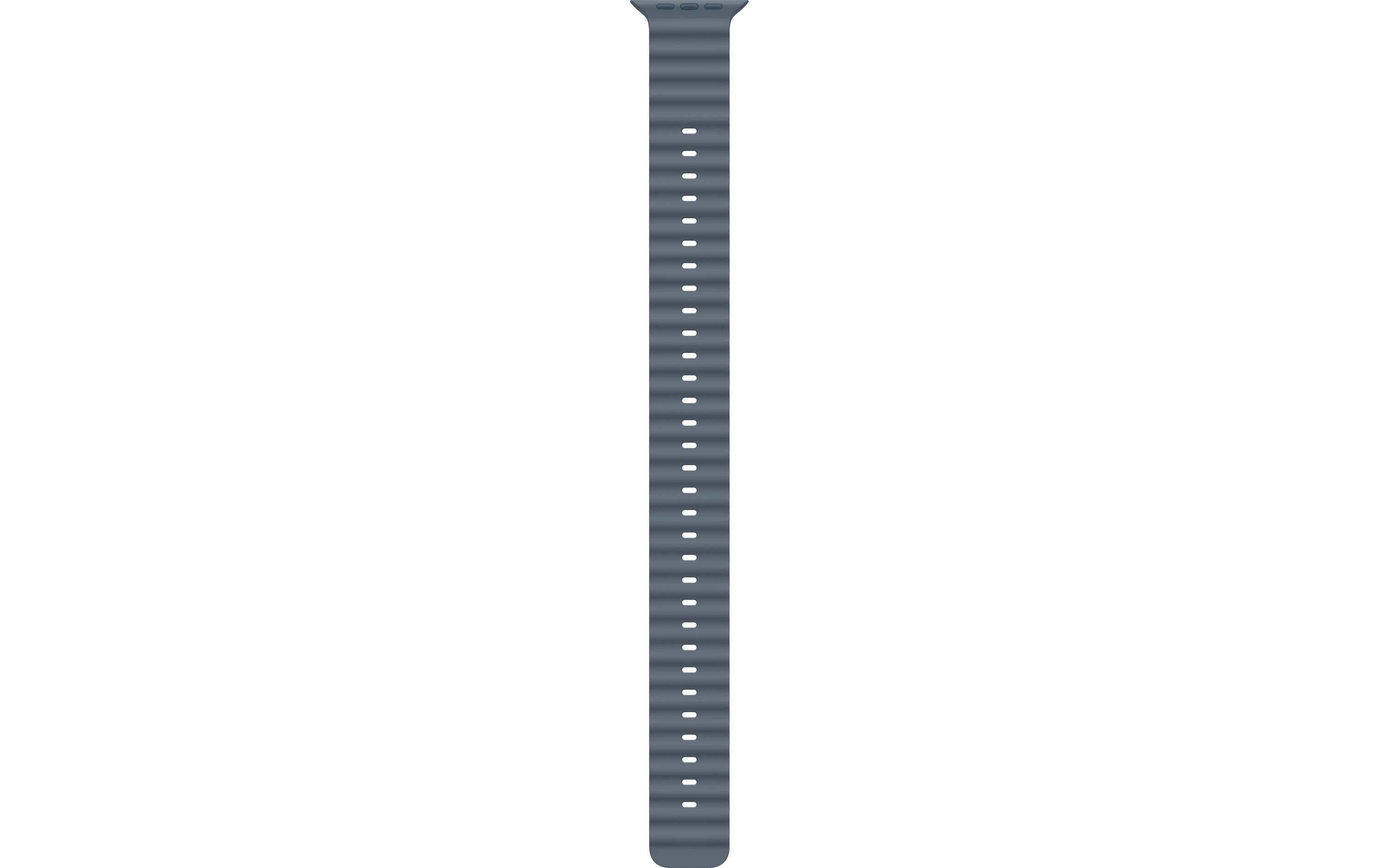 Apple OceanBand Extension