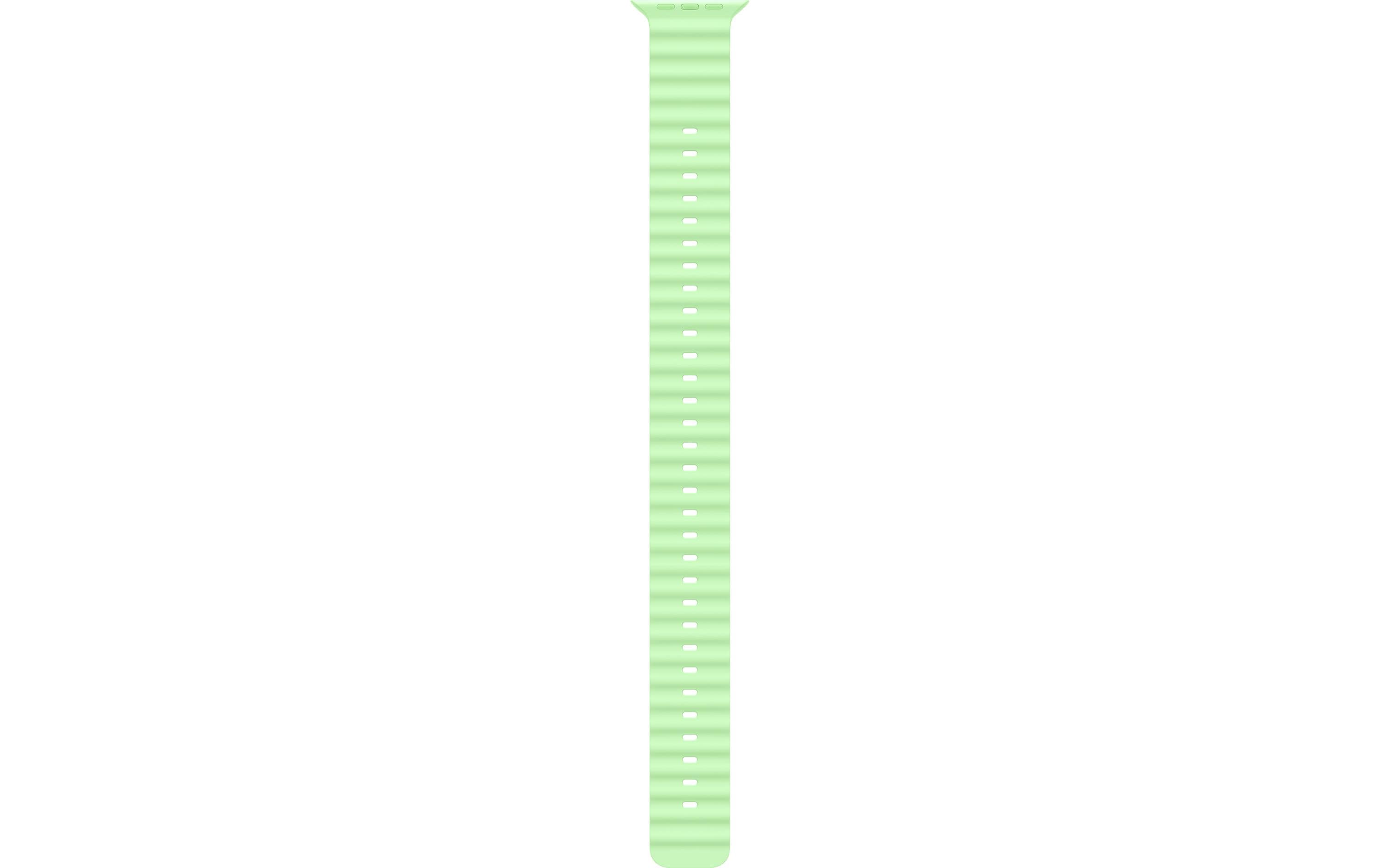 Apple OceanBand Extension
