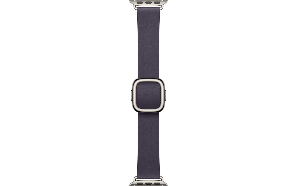 Apple Modern Buckle