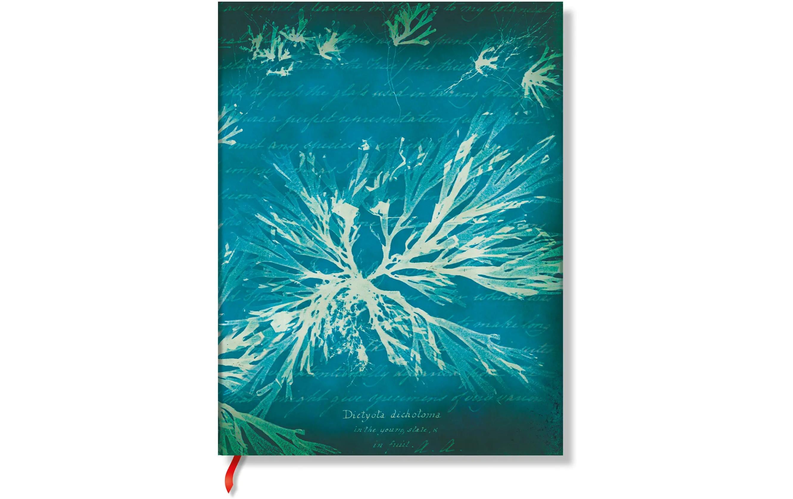 Paperblanks Notizbuch Meeresblumen
