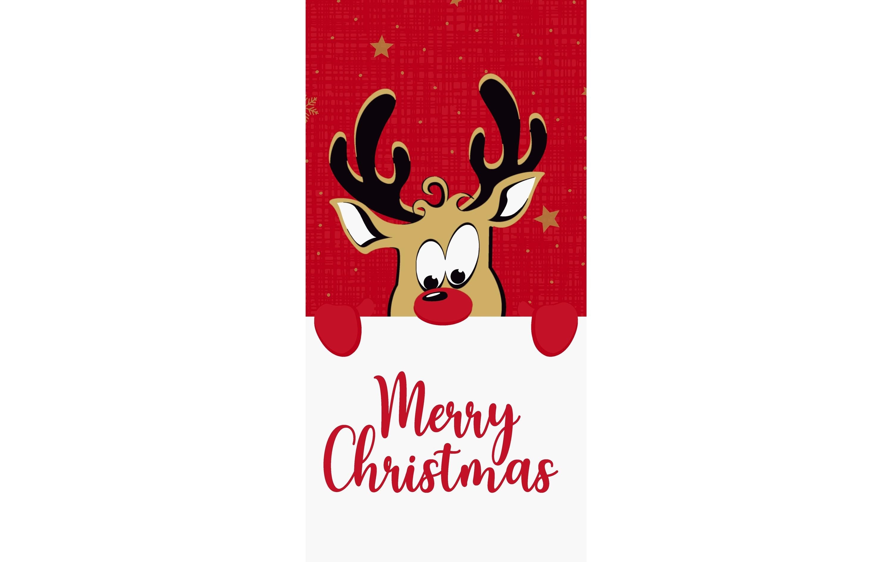 Duni Servietten Bio DSF Rudolf