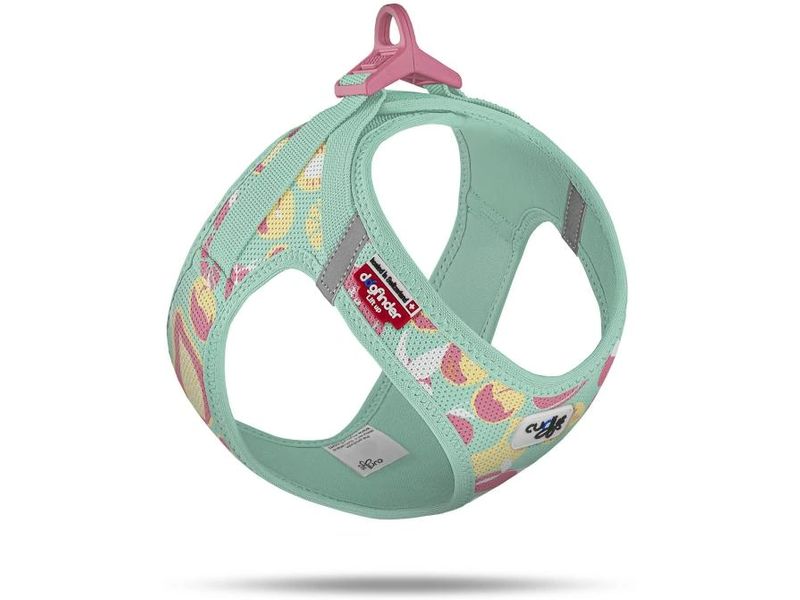 curli | Vest Geschirr Air-Mesh LE26 | Juicy Fruits Türkis XL