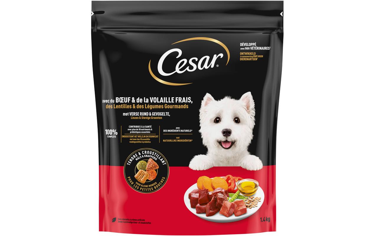 Cesar Hunters Platter Rind