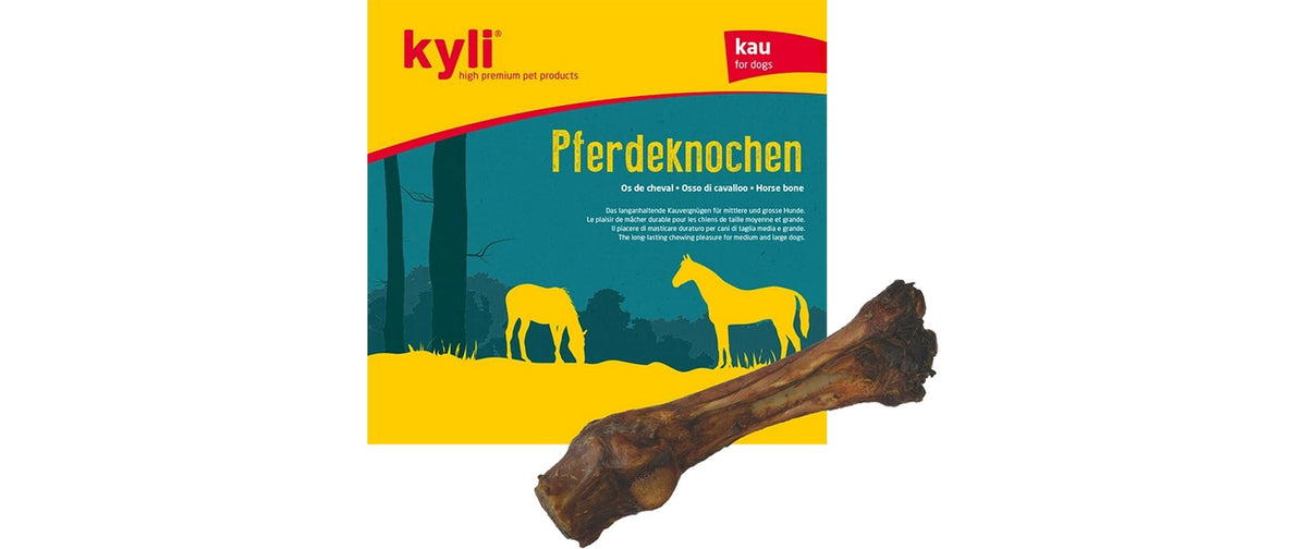 kyli Pferdeknochen