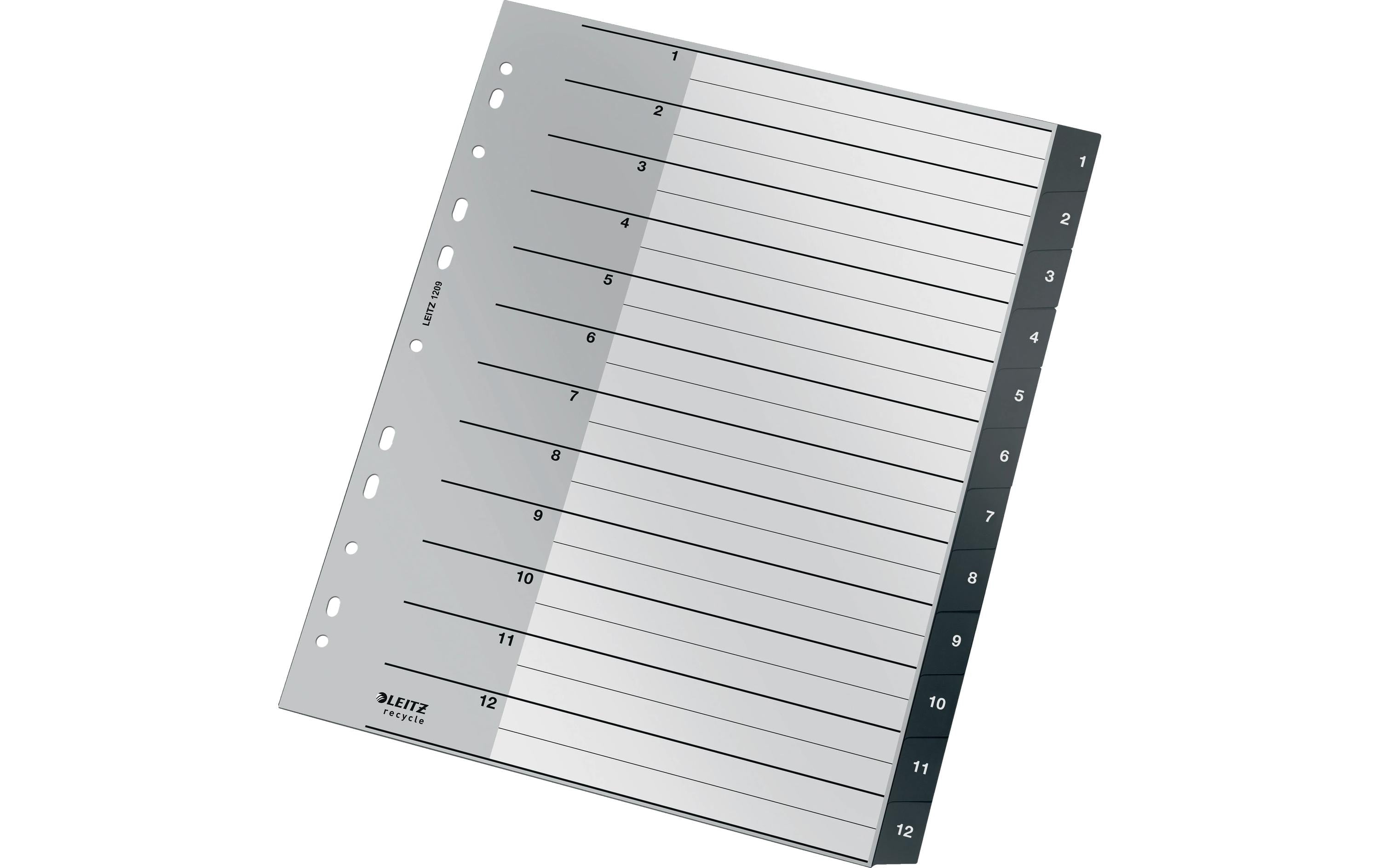 Leitz  Recycle PC-beschriftbares Register