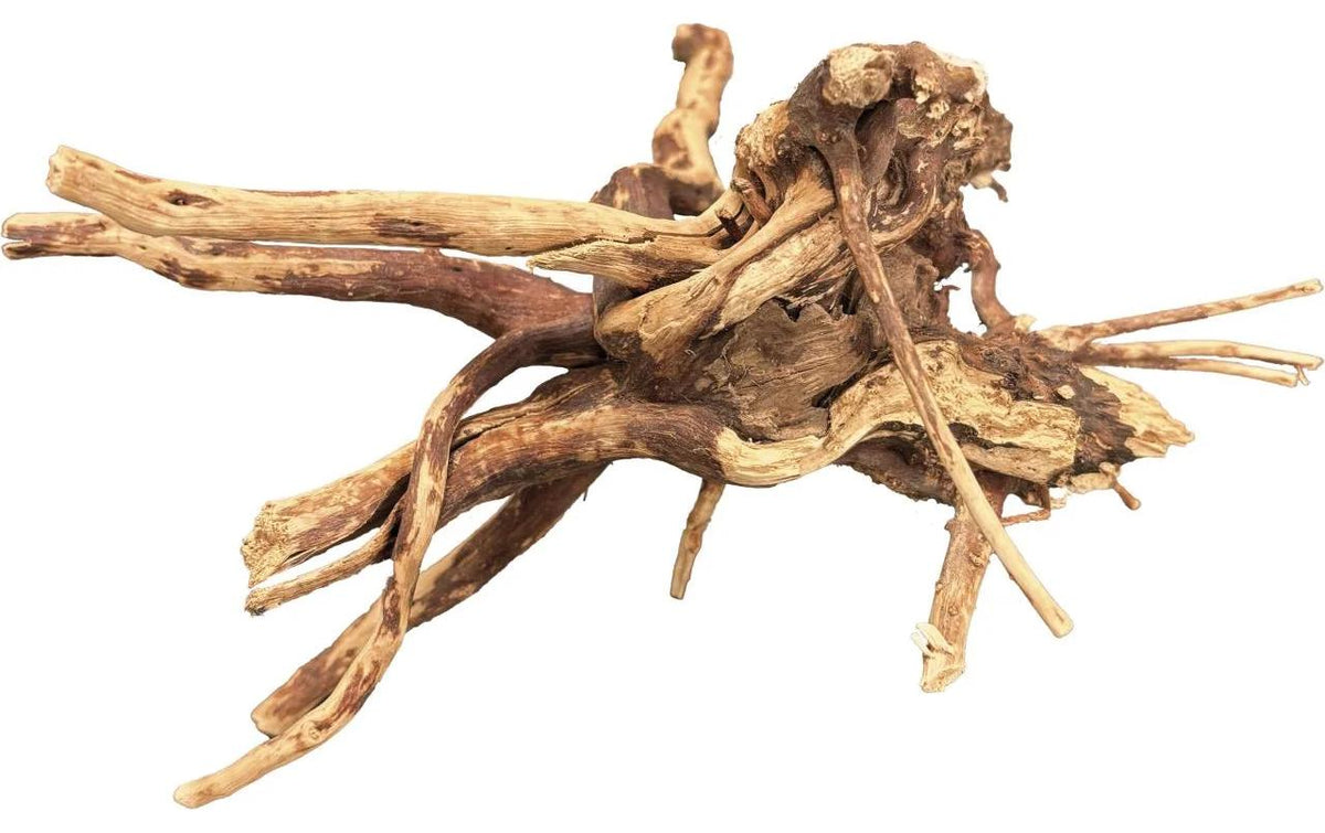 BioArt Spiderwood 10-15 cm