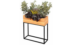 Innovesta | Blumenkasten mit Untergestell | 60x20xH70 cm
