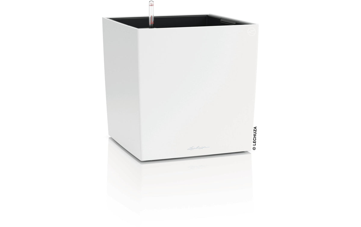 CUBE Color 40
