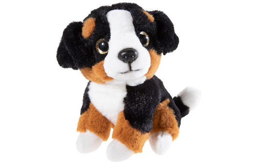Misanimo Sennehund