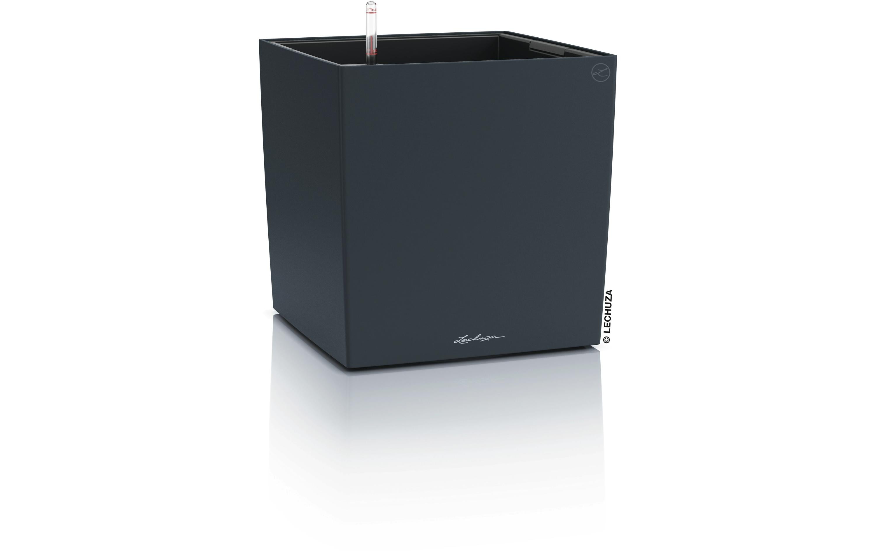 CUBE Color 40