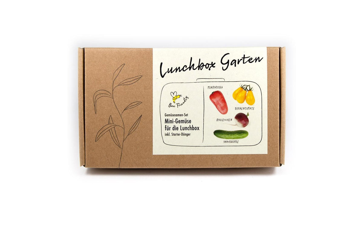 Anzucht Lunchbox Garden