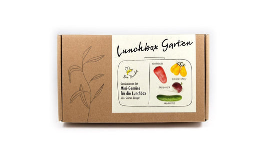 Anzucht Lunchbox Garden