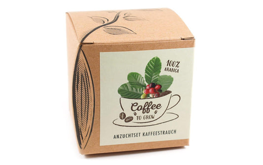Anzucht Coffee-to-grow
