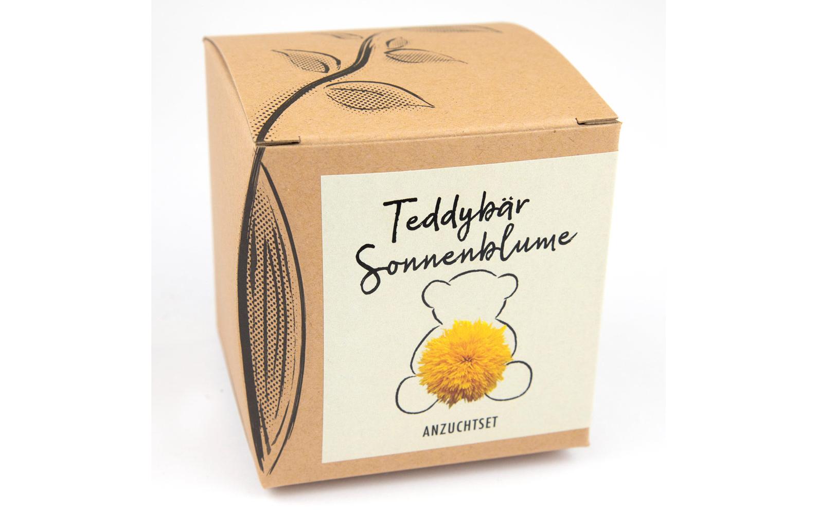 Anzucht Teddybär