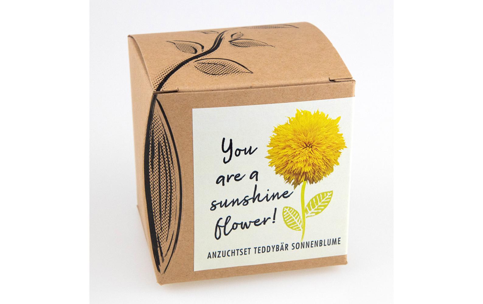 AnzuchtYou are a Sunshine Flower