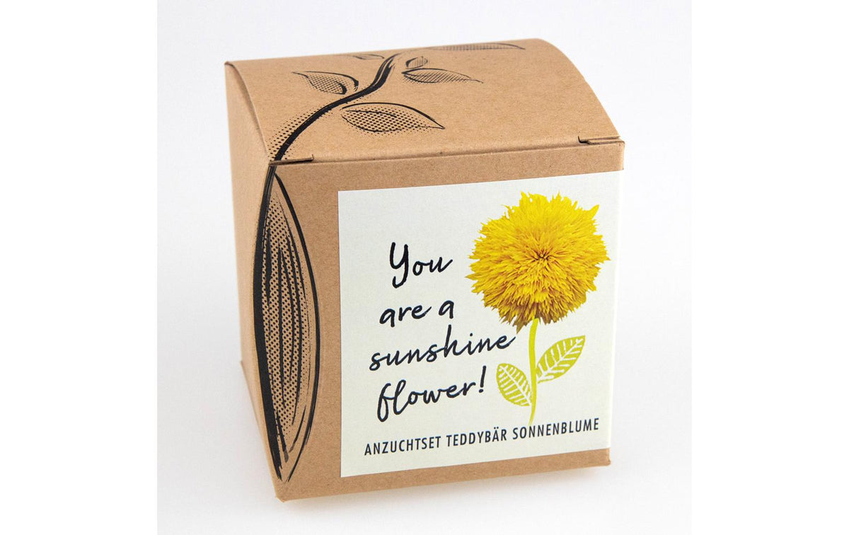 AnzuchtYou are a Sunshine Flower