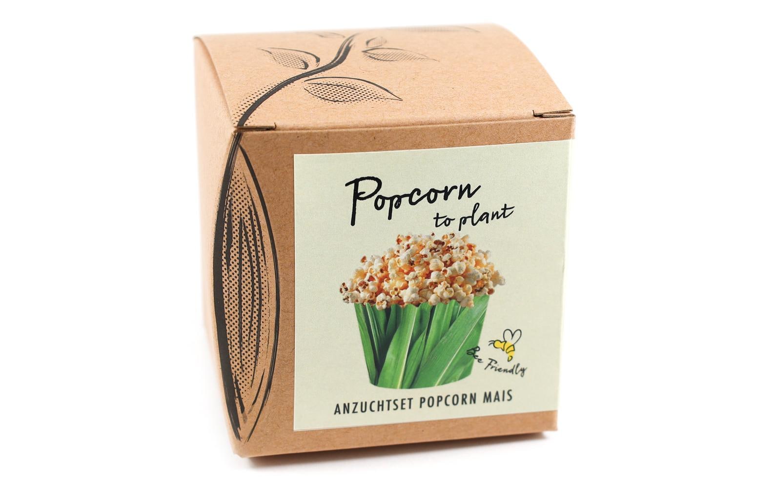Anzucht Popcorn-to-Plant