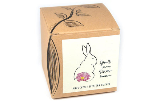 Anzucht Gruss vom Osterhasen