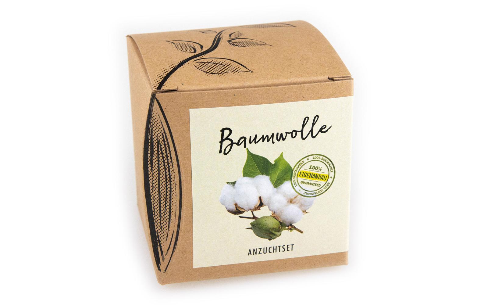 Anzucht Baumwolle