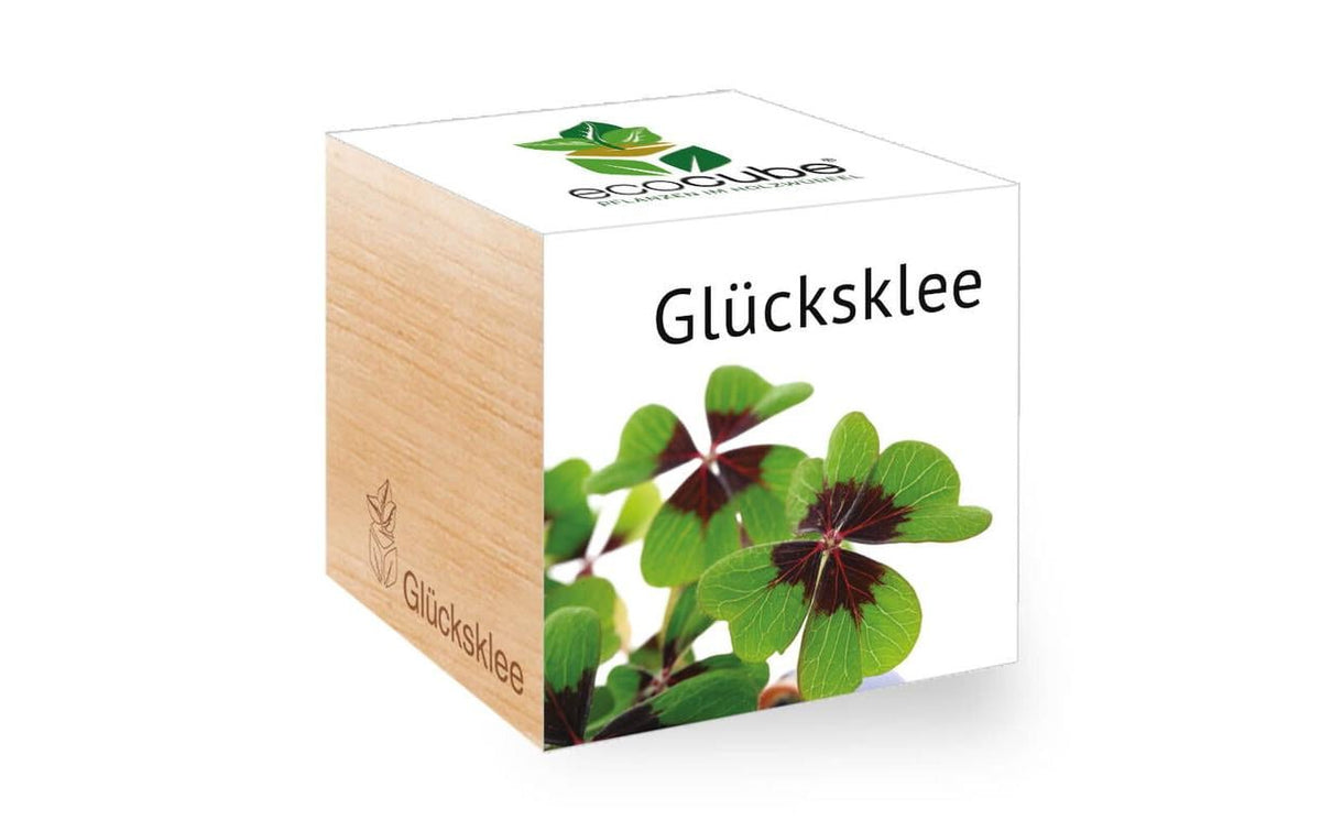 Glücksklee