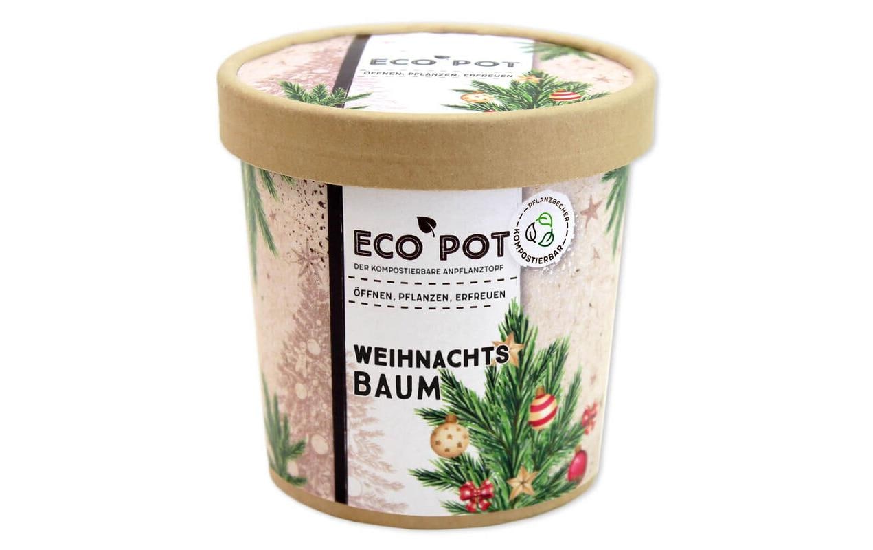 Weihnachtsbaum