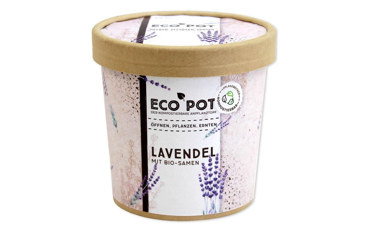 Lavendel BIO