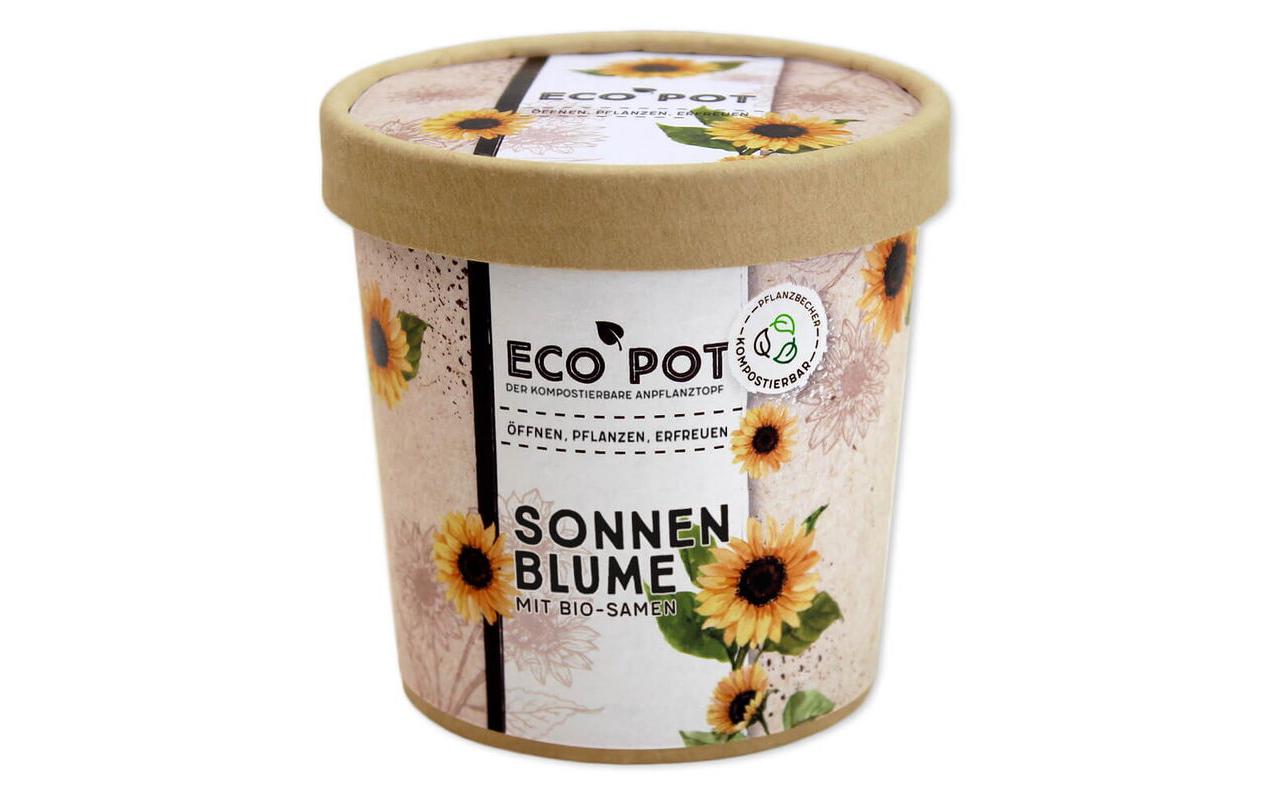 Sonnenblume BIO