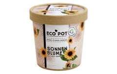 Sonnenblume BIO