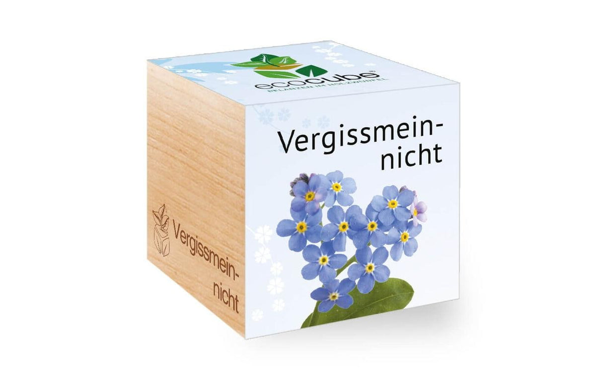Vergissmeinnicht