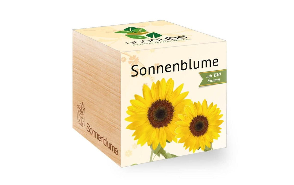 Sonnenblume BIO