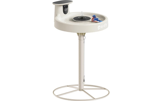 Birdfy | Intelligentes Vogelbad mit Kamera | Solarbetrieben, KI & Video Vogelerkennung