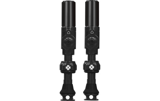 Tubeless Valves Big Bore Hybrid