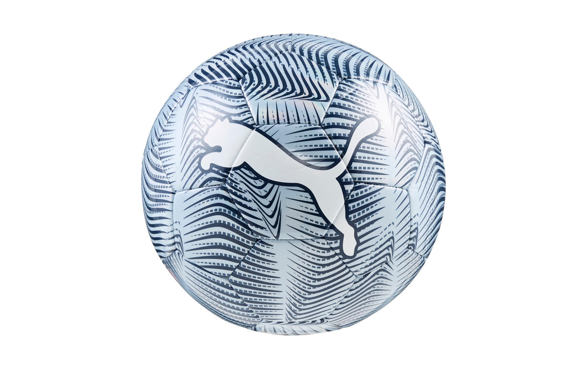 PUMA Ball PUMA FINAL Graphic