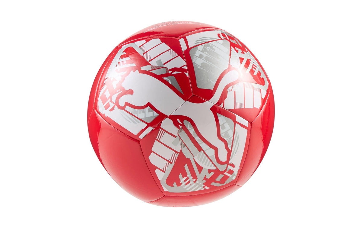 PUMA Ball PUMA BIG CAT