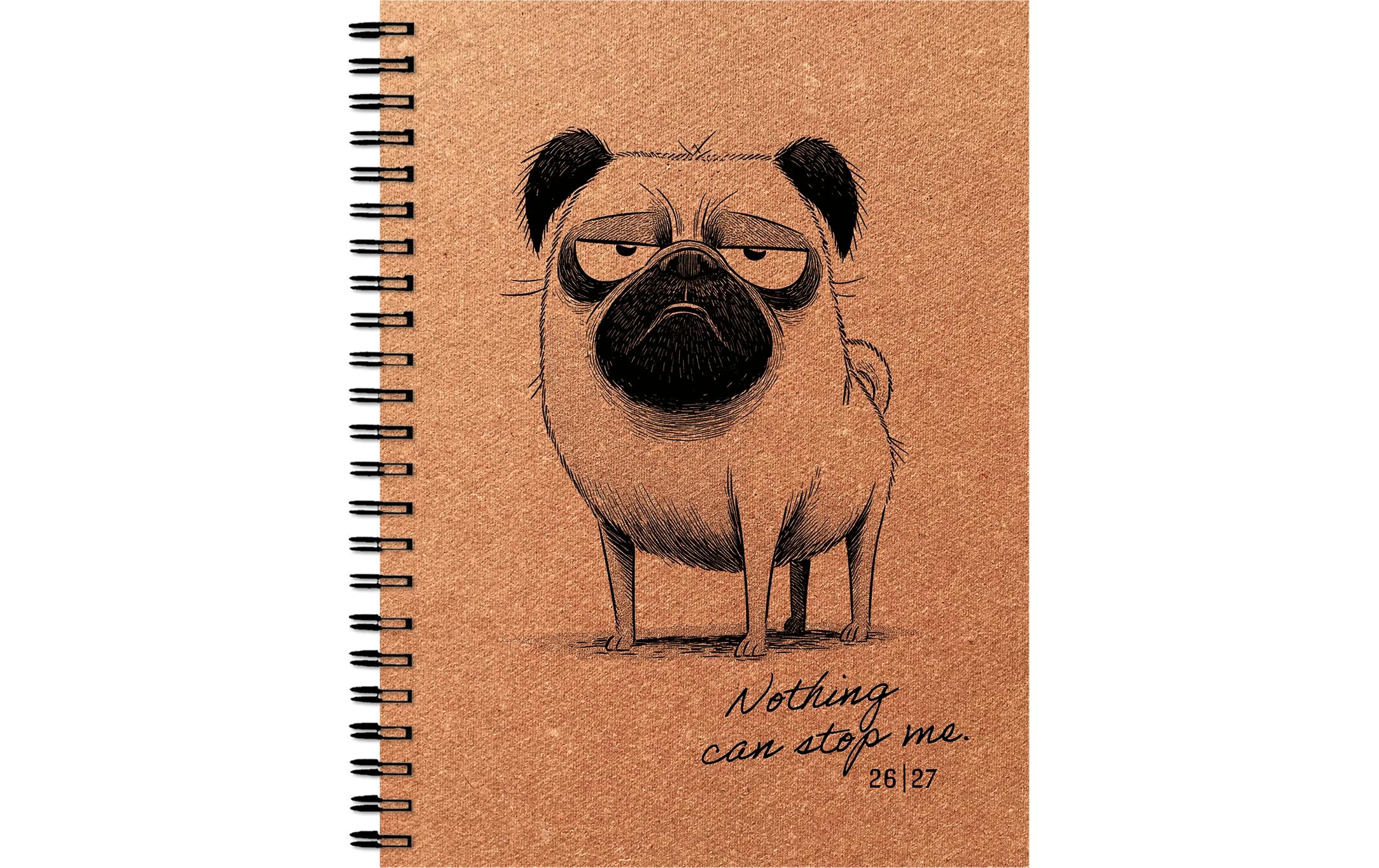 Simplex Schüleragenda Bad Mood A5