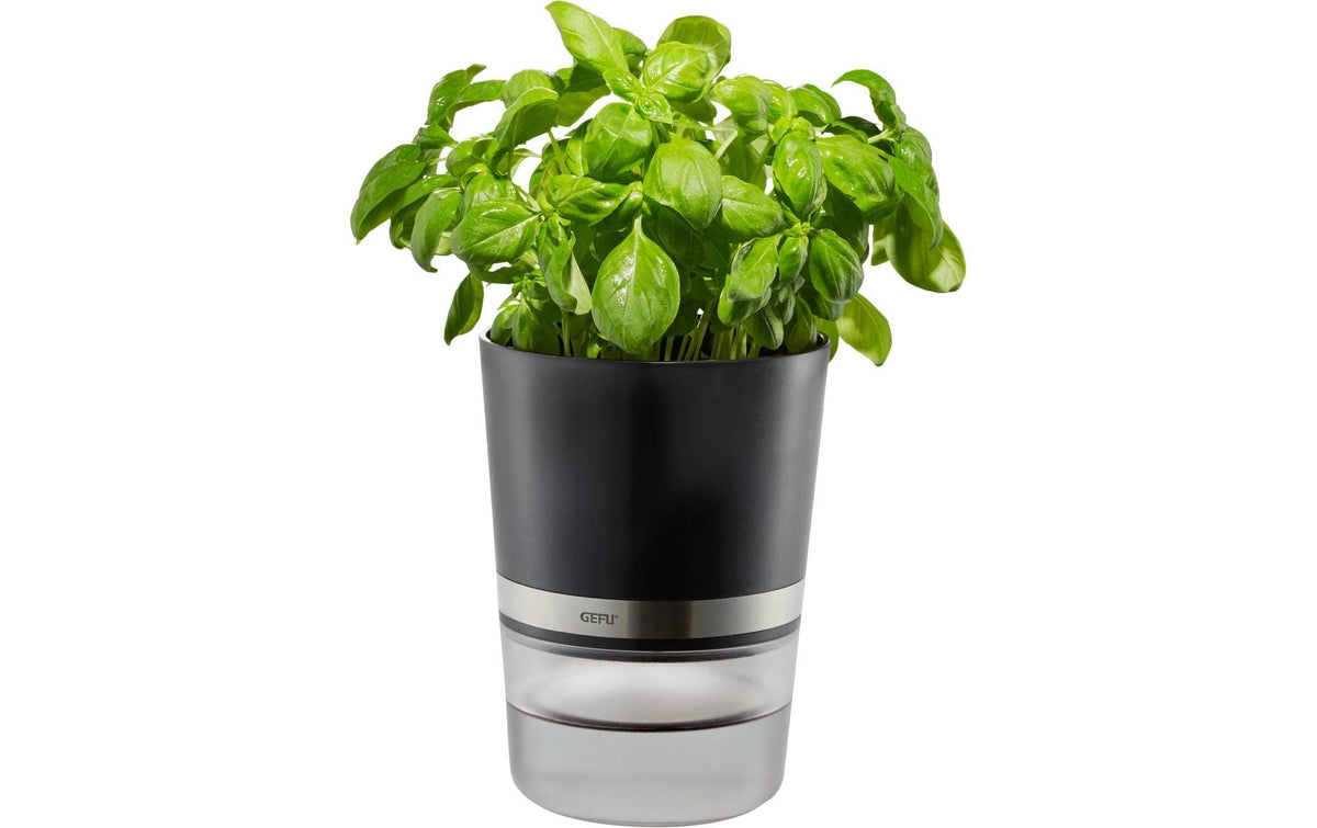 GEFU Kräutertopf BOTANICO