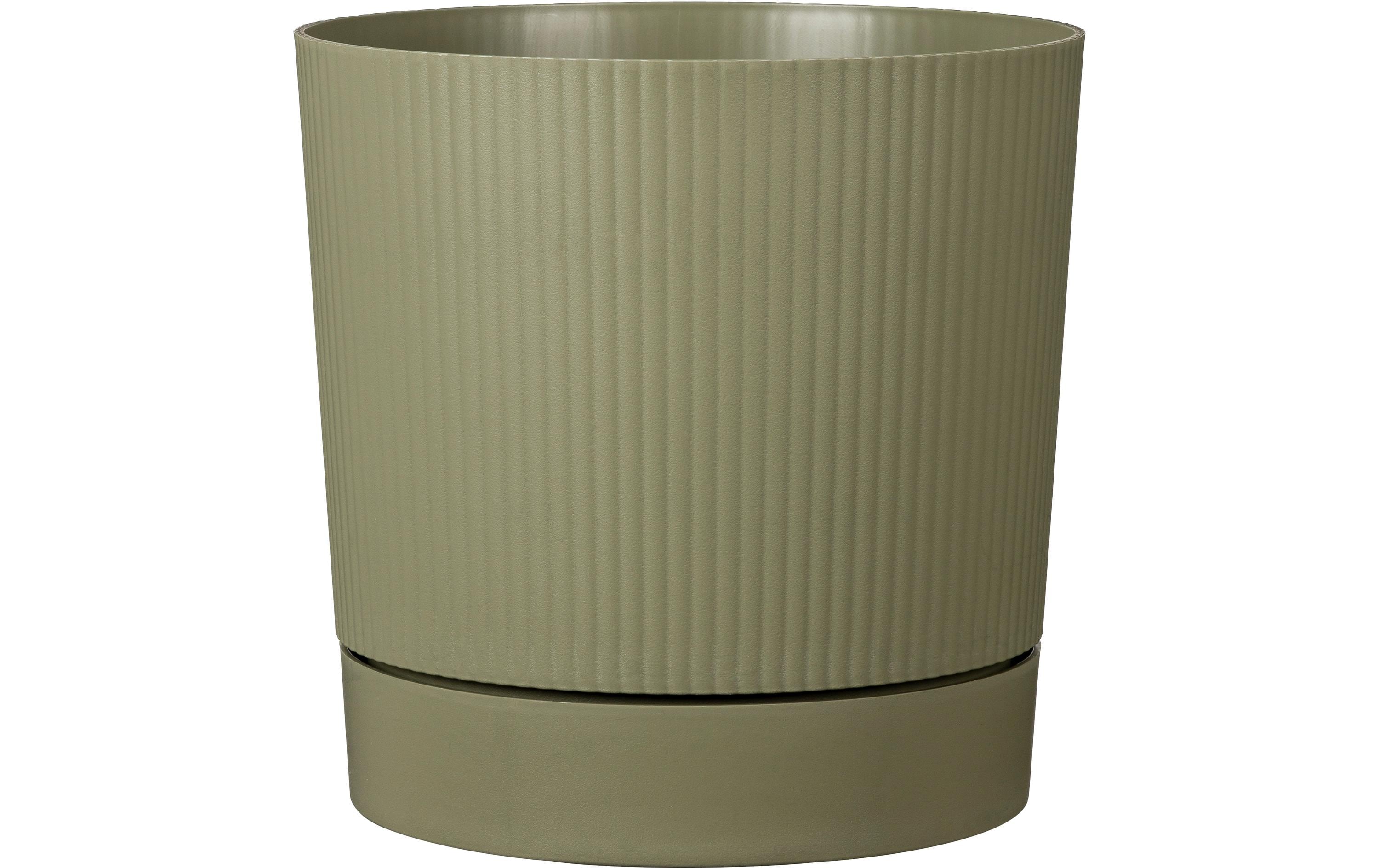 Scheurich LINO+
